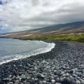Collaboration with Other Organizations to Help Conservation Efforts by Maui Coastal Land Trust