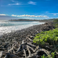Preserving Hawaii's Coastal Environment with Maui Coastal Land Trust