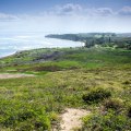 Protecting Endangered Species on Maui: The Maui Coastal Land Trust