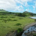 How can i contact the maui coastal land trust?