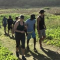 Protecting Land and Species with the Maui Coastal Land Trust