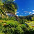 Who is the Biggest Landowner in Hawaii? A Comprehensive Guide
