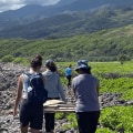 Make a Difference: Volunteer with the Maui Coastal Land Trust