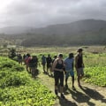 Protecting Maui's Coastal Land and Species: The Tools Used by the Maui Coastal Land Trust