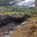 The Impact of Climate Change on Maui Coastal Land Trust Conservation