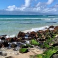Exploring the Educational Programs of the Maui Coastal Land Trust