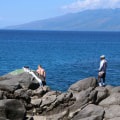 Understanding the Legal Status of the Maui Coastal Land Trust
