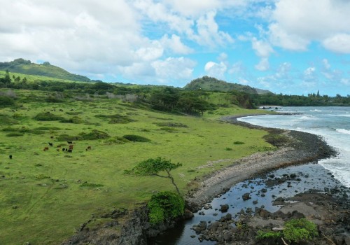 Preserving Maui's Natural Environment for Future Generations with the Maui Coastal Land Trust