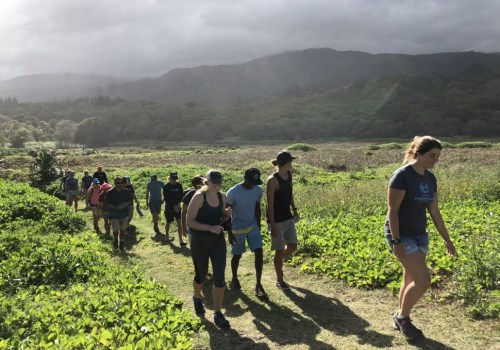 Protecting Land and Species with the Maui Coastal Land Trust