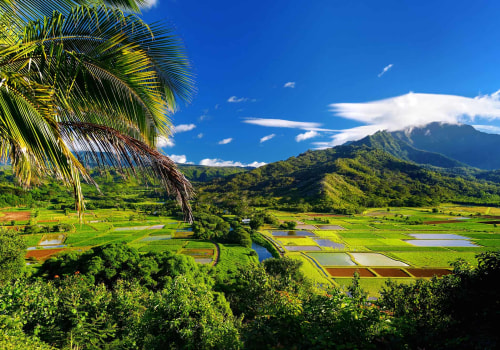 Who is the Biggest Landowner in Hawaii? A Comprehensive Guide