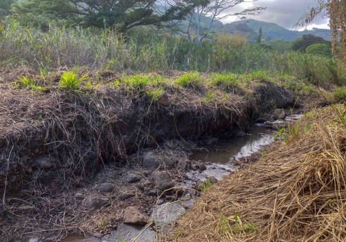 The Impact of Climate Change on Maui Coastal Land Trust Conservation
