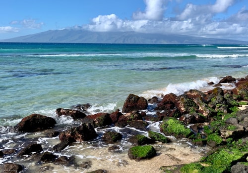 Exploring the Educational Programs of the Maui Coastal Land Trust