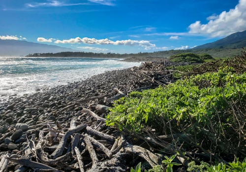 Donating to the Maui Coastal Land Trust: Invest in Preserving Hawaii's Open Spaces